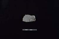 陶片藏品圖，第2張